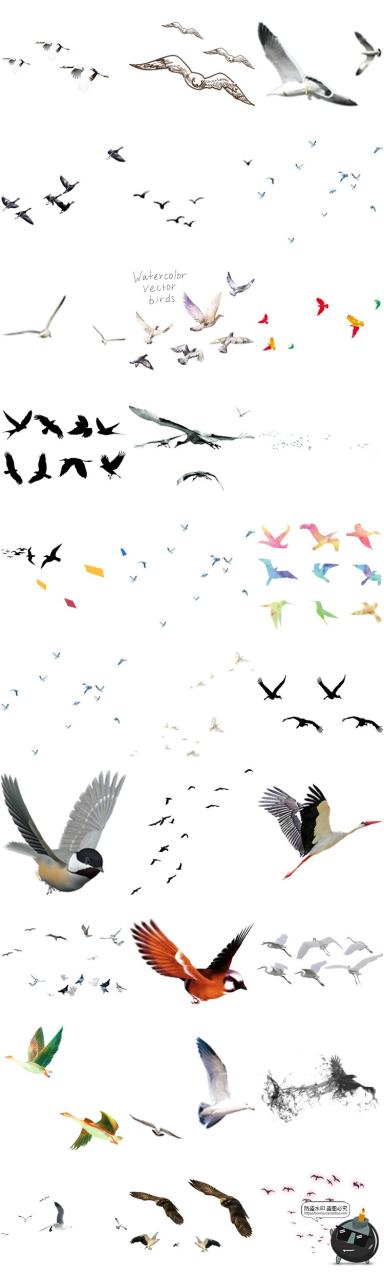 图片[2]-鸟群剪影鸟类飞鸟仙鹤透明背景图案ps后期美化免扣PNG免抠素材-设计猿