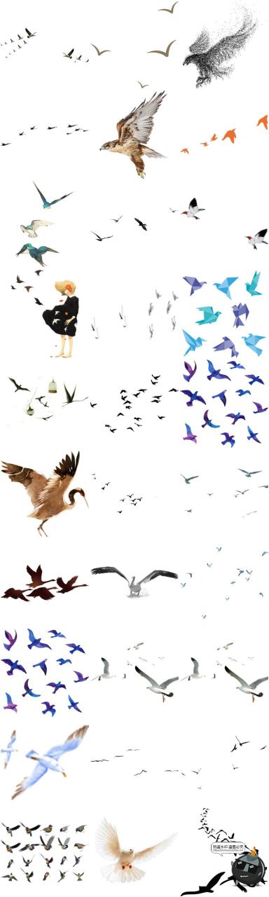 图片[3]-鸟群剪影鸟类飞鸟仙鹤透明背景图案ps后期美化免扣PNG免抠素材-设计猿