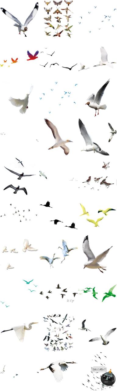图片[4]-鸟群剪影鸟类飞鸟仙鹤透明背景图案ps后期美化免扣PNG免抠素材-设计猿