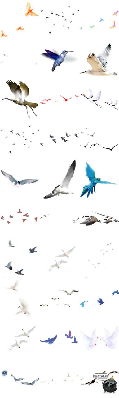 图片[5]-鸟群剪影鸟类飞鸟仙鹤透明背景图案ps后期美化免扣PNG免抠素材-设计猿
