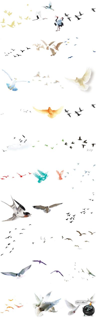 图片[6]-鸟群剪影鸟类飞鸟仙鹤透明背景图案ps后期美化免扣PNG免抠素材-设计猿