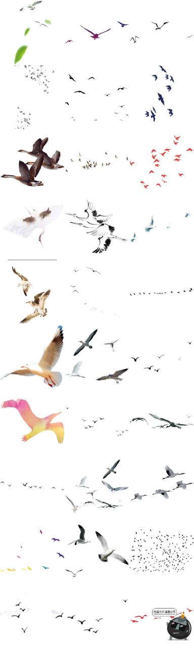 图片[7]-鸟群剪影鸟类飞鸟仙鹤透明背景图案ps后期美化免扣PNG免抠素材-设计猿