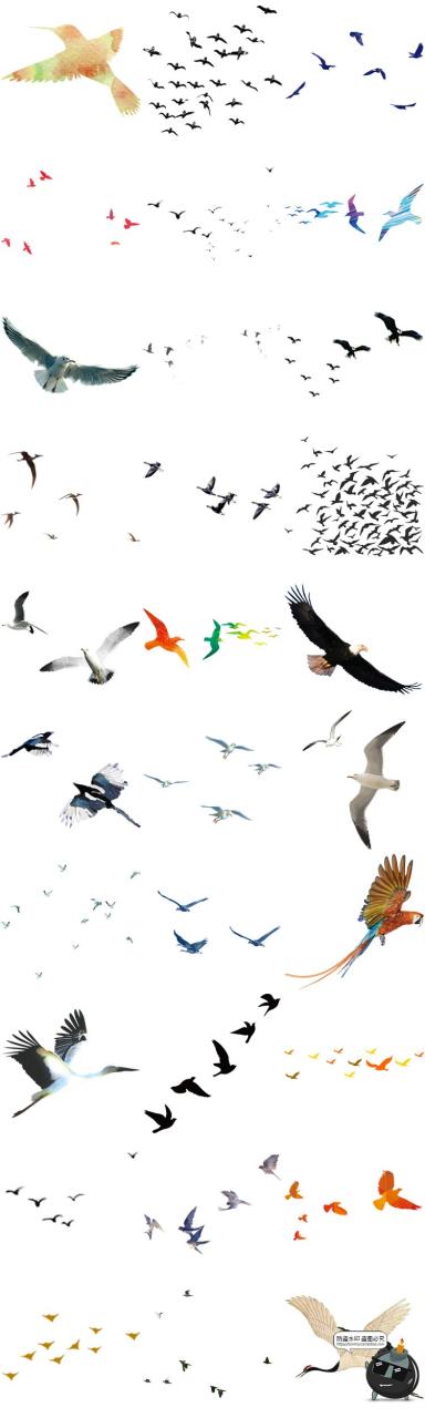 图片[8]-鸟群剪影鸟类飞鸟仙鹤透明背景图案ps后期美化免扣PNG免抠素材-设计猿