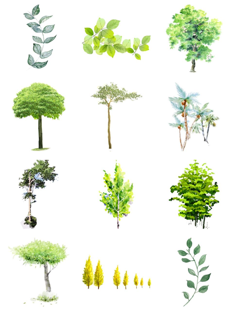 图片[5]-唯美水彩手绘墨迹树木树叶盆栽园艺花卉插画叶子PNG免扣设计素材-设计猿