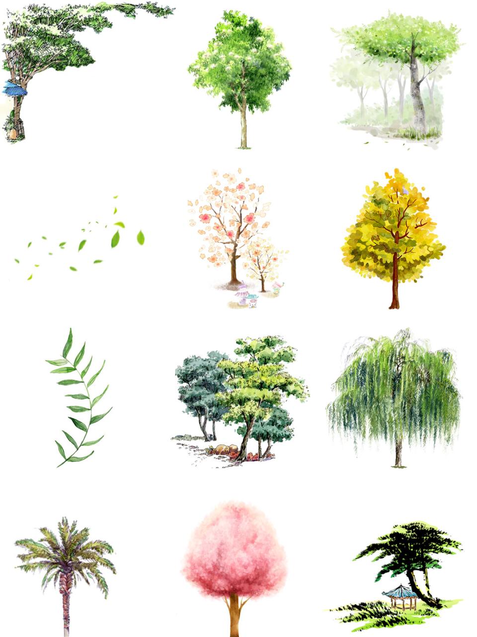 图片[9]-唯美水彩手绘墨迹树木树叶盆栽园艺花卉插画叶子PNG免扣设计素材-设计猿