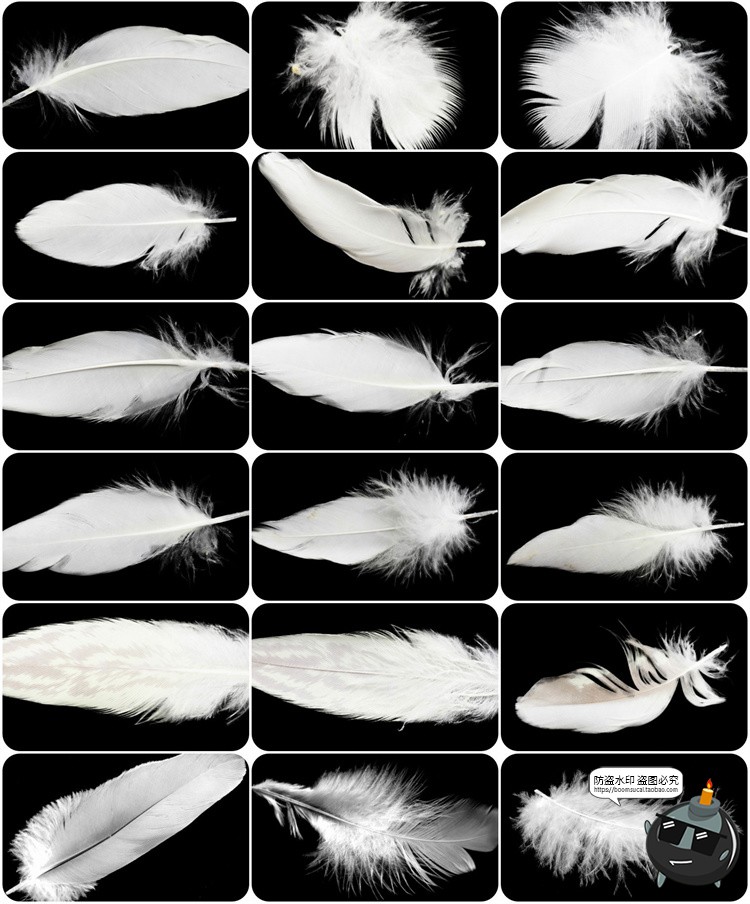 图片[5]-梦幻白色羽毛飘落效果特效照片装饰叠层PNG图片影楼后期合成素材-设计猿