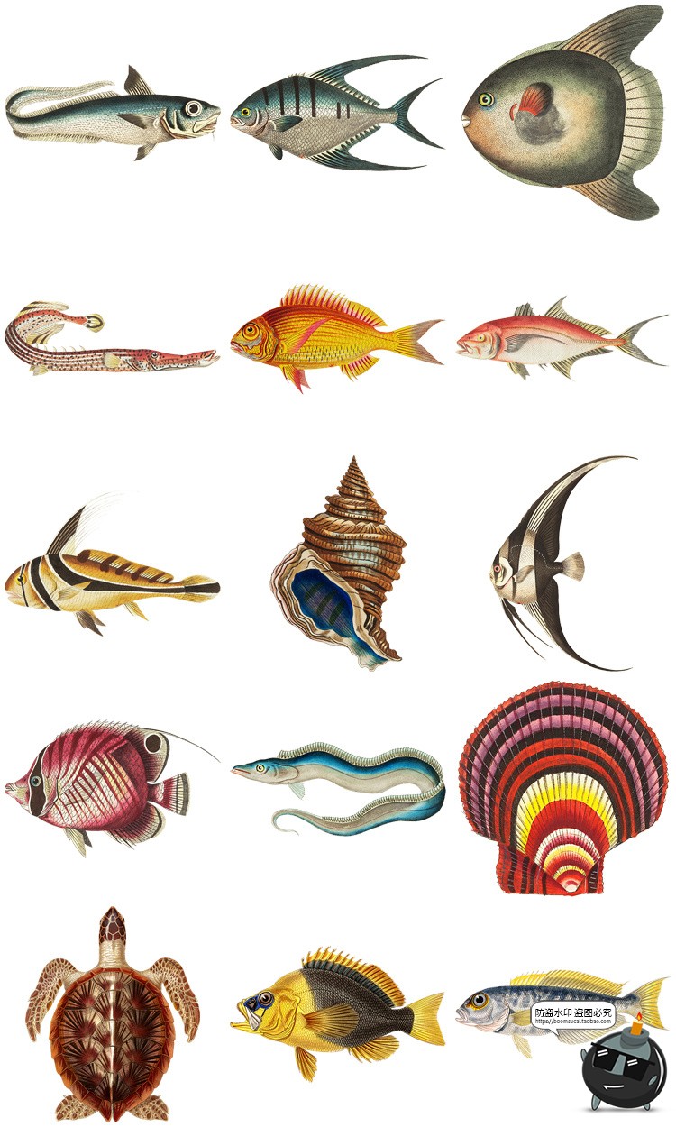 图片[6]-复古手绘哺乳爬行动物昆虫海洋生物插画艺术拼贴PNG免抠剪贴素材-设计猿