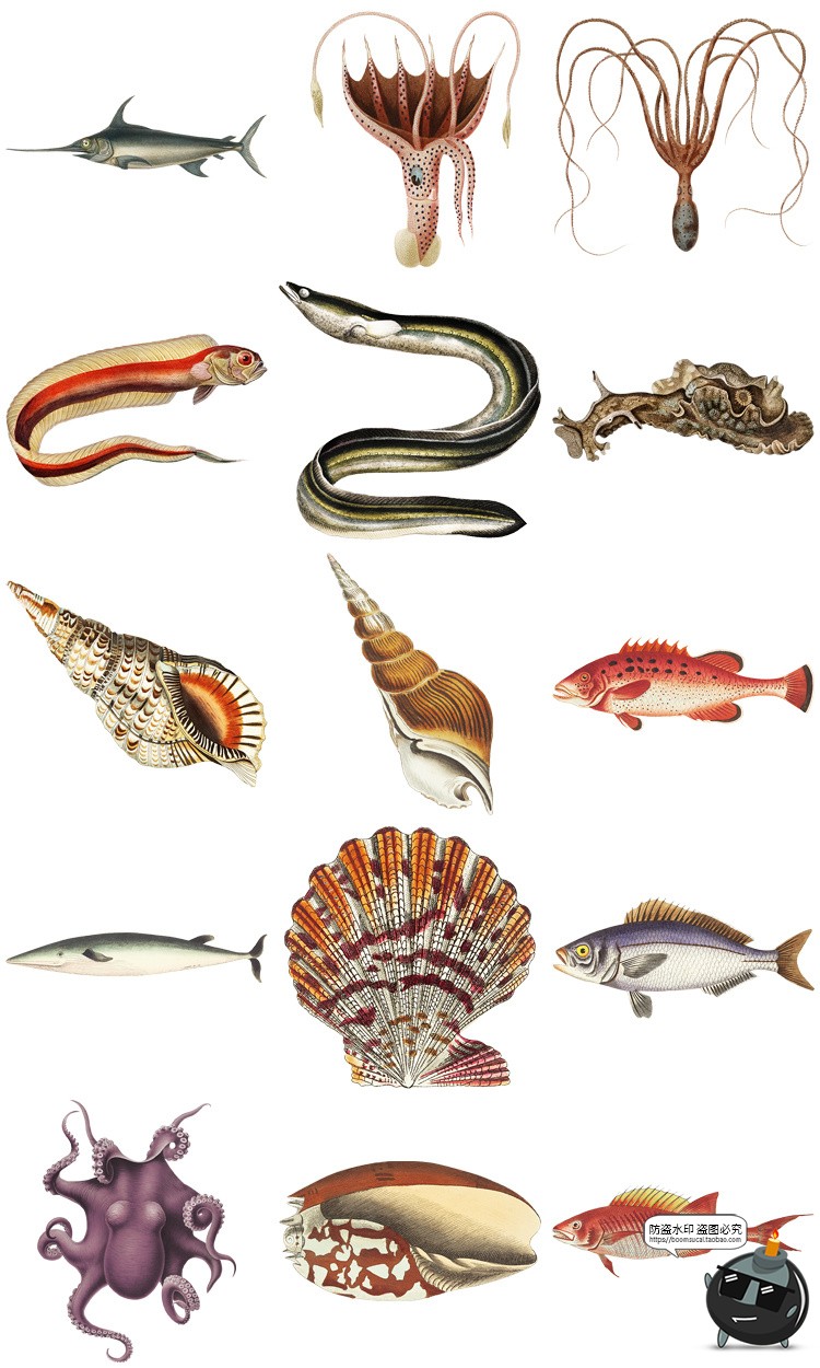 图片[7]-复古手绘哺乳爬行动物昆虫海洋生物插画艺术拼贴PNG免抠剪贴素材-设计猿