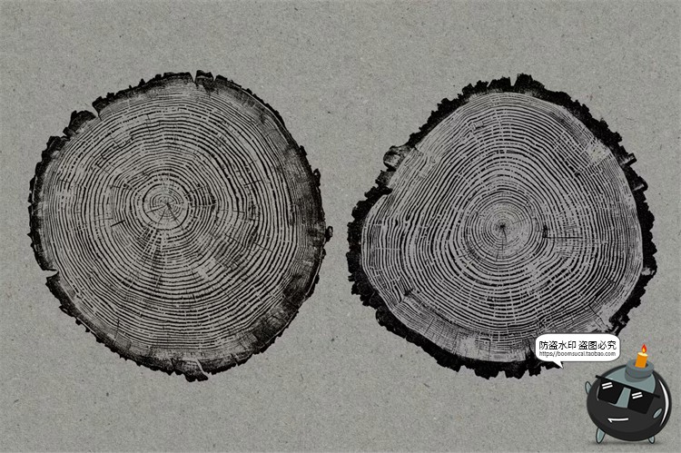 图片[3]-黑白圆形树木年轮纹理背景叠加后期合成装饰元素图片PNG免抠素材-设计猿