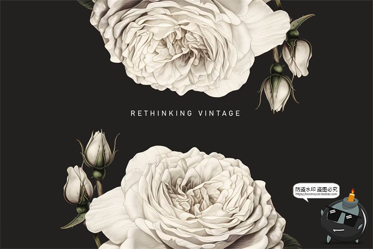 图片[10]-欧式复古宫廷手绘鲜花植物古典花卉装饰插图插画PNG免抠图片素材-设计猿