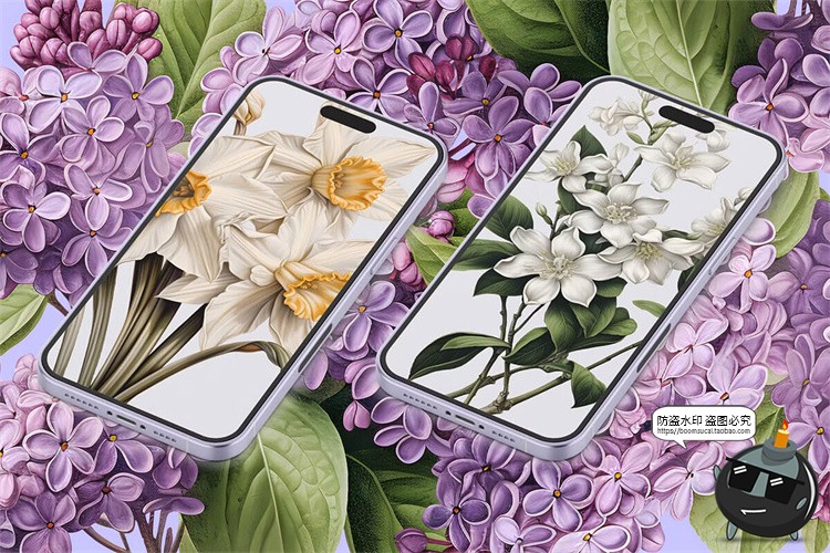 图片[15]-欧式复古宫廷手绘鲜花植物古典花卉装饰插图插画PNG免抠图片素材-设计猿