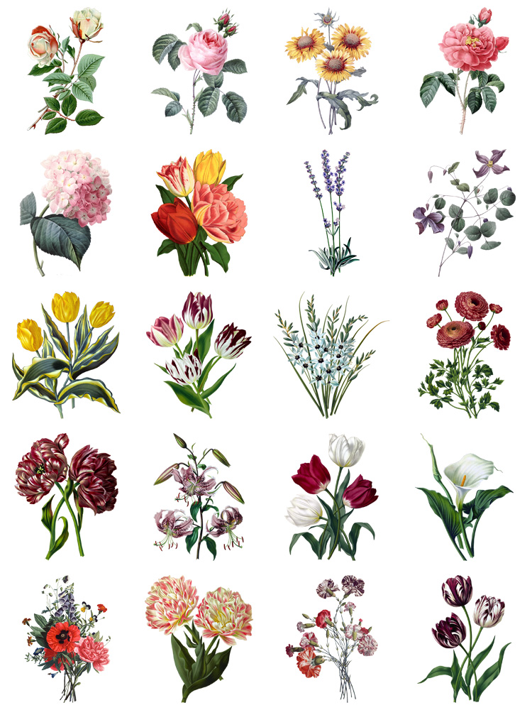 图片[2]-水彩写实风格花卉花朵各种鲜花向日葵植物PNG免抠图片PS设计素材-设计猿