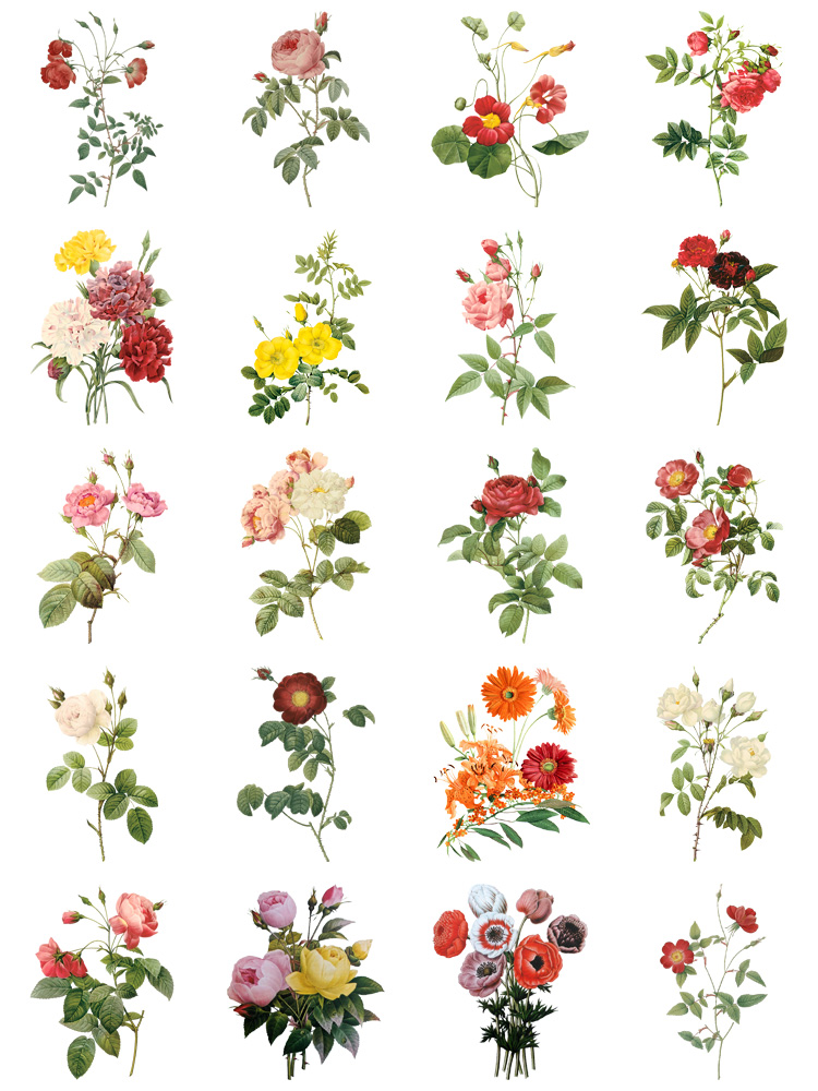 图片[3]-水彩写实风格花卉花朵各种鲜花向日葵植物PNG免抠图片PS设计素材-设计猿