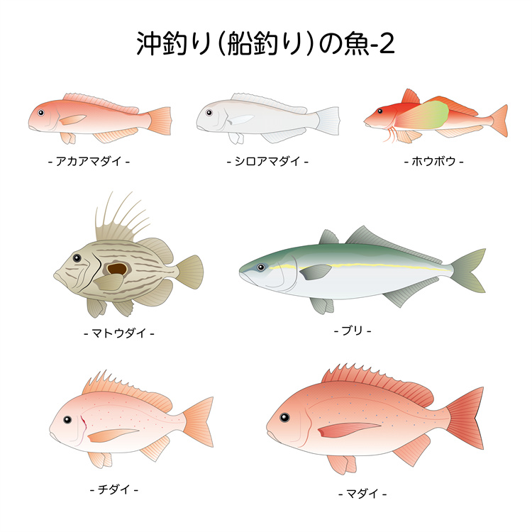 图片[3]-手绘海鲜海产品水产食用食材鱼类海鱼插画图案合集AI矢量手账素材-设计猿