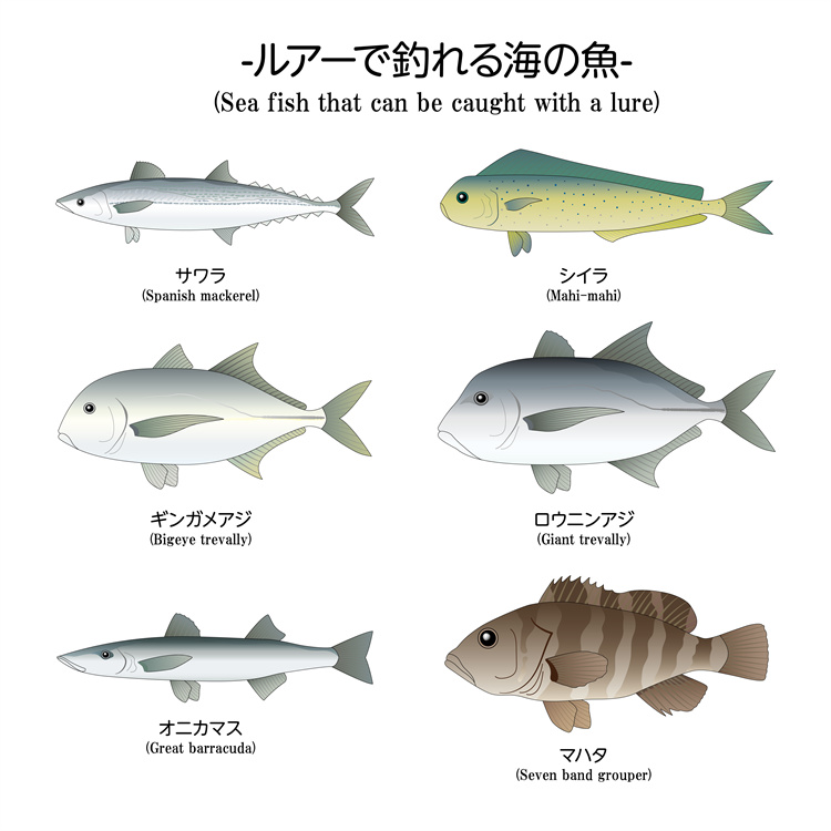 图片[5]-手绘海鲜海产品水产食用食材鱼类海鱼插画图案合集AI矢量手账素材-设计猿