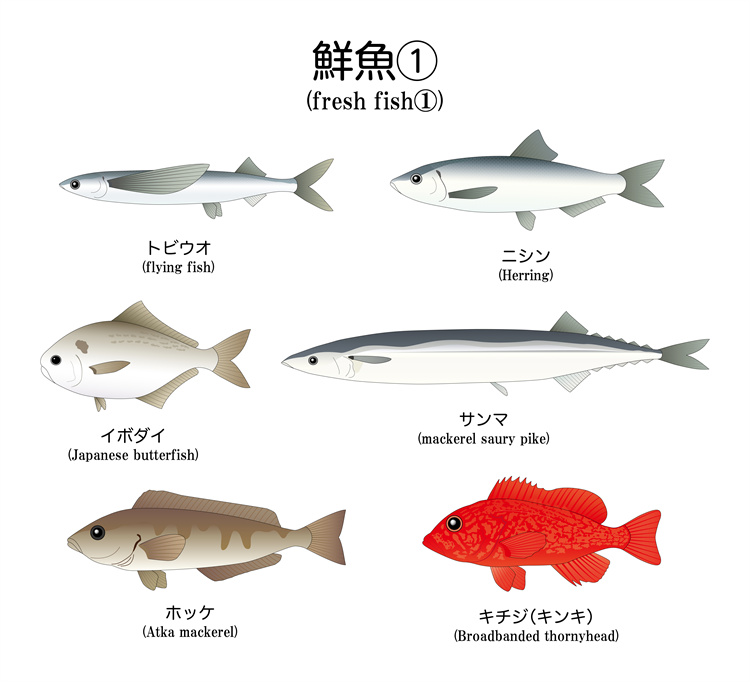 图片[6]-手绘海鲜海产品水产食用食材鱼类海鱼插画图案合集AI矢量手账素材-设计猿