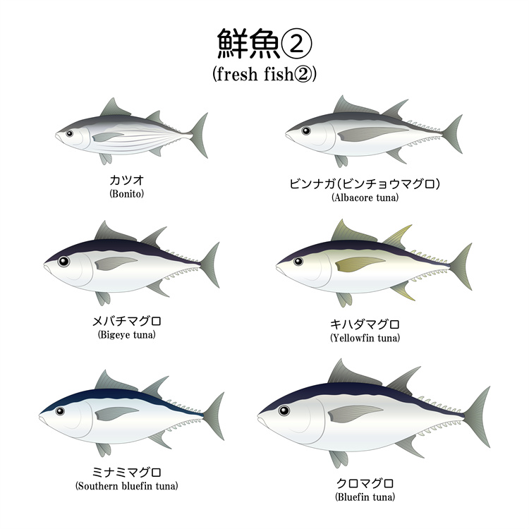 图片[7]-手绘海鲜海产品水产食用食材鱼类海鱼插画图案合集AI矢量手账素材-设计猿