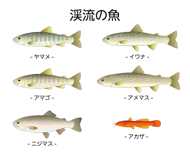 图片[8]-手绘海鲜海产品水产食用食材鱼类海鱼插画图案合集AI矢量手账素材-设计猿