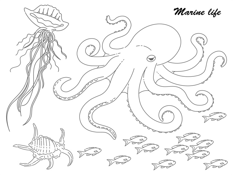 图片[11]-手绘海鲜海产品水产食用食材鱼类海鱼插画图案合集AI矢量手账素材-设计猿