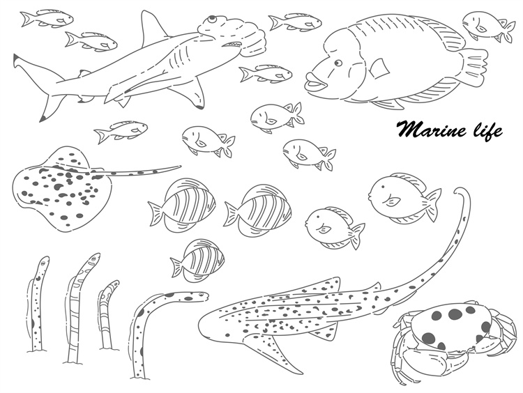 图片[12]-手绘海鲜海产品水产食用食材鱼类海鱼插画图案合集AI矢量手账素材-设计猿