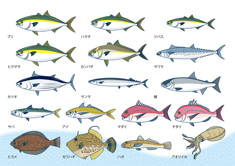 图片[15]-手绘海鲜海产品水产食用食材鱼类海鱼插画图案合集AI矢量手账素材-设计猿