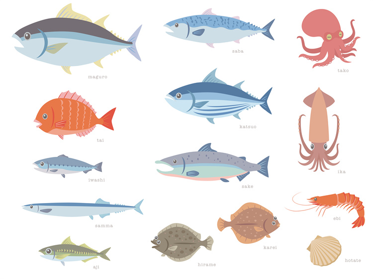 图片[16]-手绘海鲜海产品水产食用食材鱼类海鱼插画图案合集AI矢量手账素材-设计猿