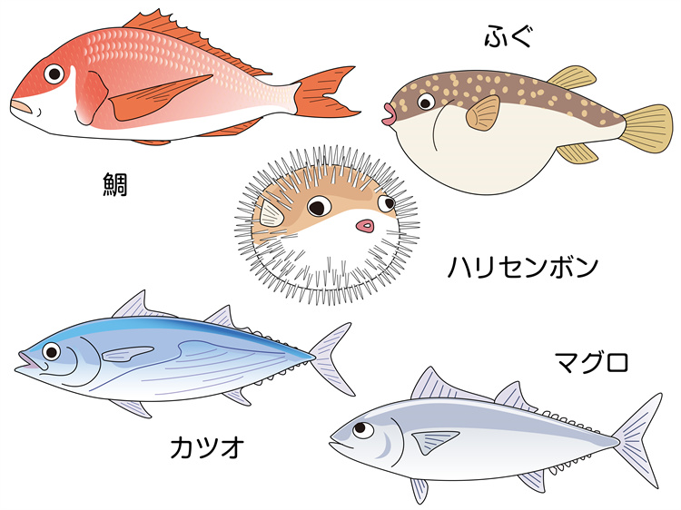 图片[21]-手绘海鲜海产品水产食用食材鱼类海鱼插画图案合集AI矢量手账素材-设计猿