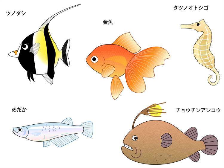 图片[22]-手绘海鲜海产品水产食用食材鱼类海鱼插画图案合集AI矢量手账素材-设计猿