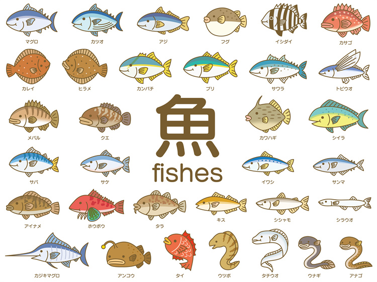 图片[23]-手绘海鲜海产品水产食用食材鱼类海鱼插画图案合集AI矢量手账素材-设计猿