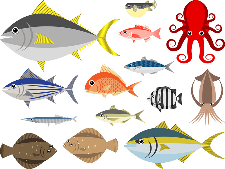 图片[24]-手绘海鲜海产品水产食用食材鱼类海鱼插画图案合集AI矢量手账素材-设计猿