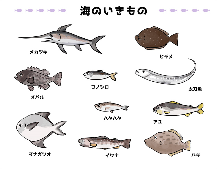 图片[26]-手绘海鲜海产品水产食用食材鱼类海鱼插画图案合集AI矢量手账素材-设计猿