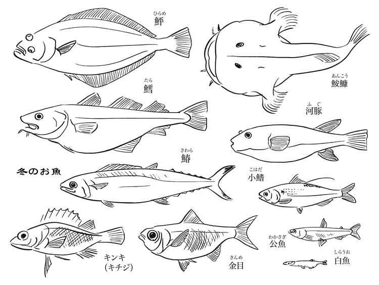 图片[29]-手绘海鲜海产品水产食用食材鱼类海鱼插画图案合集AI矢量手账素材-设计猿