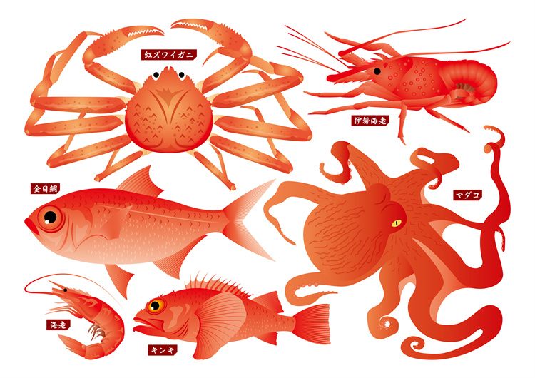图片[36]-手绘海鲜海产品水产食用食材鱼类海鱼插画图案合集AI矢量手账素材-设计猿