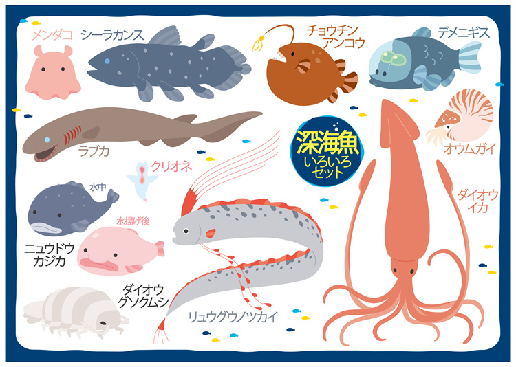 图片[37]-手绘海鲜海产品水产食用食材鱼类海鱼插画图案合集AI矢量手账素材-设计猿