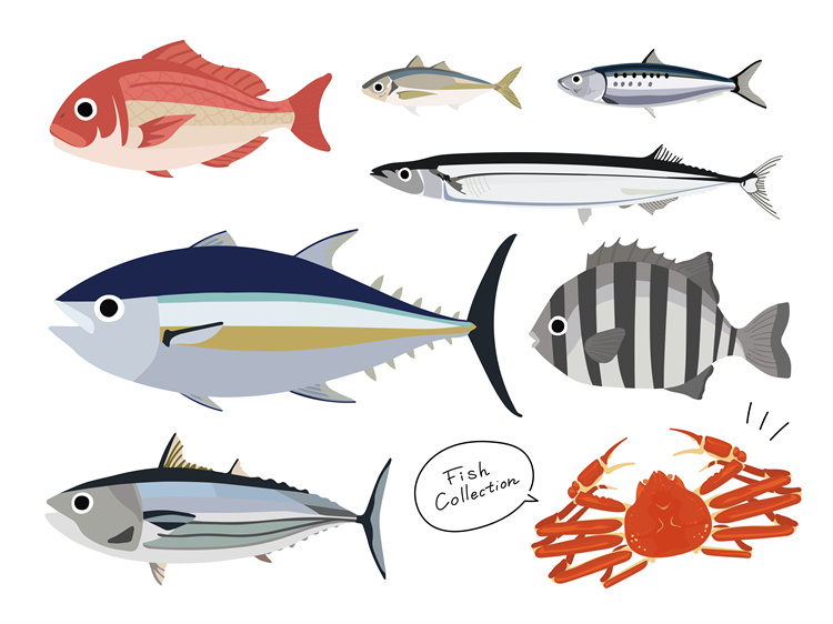 图片[41]-手绘海鲜海产品水产食用食材鱼类海鱼插画图案合集AI矢量手账素材-设计猿