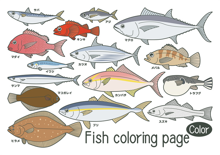 图片[43]-手绘海鲜海产品水产食用食材鱼类海鱼插画图案合集AI矢量手账素材-设计猿