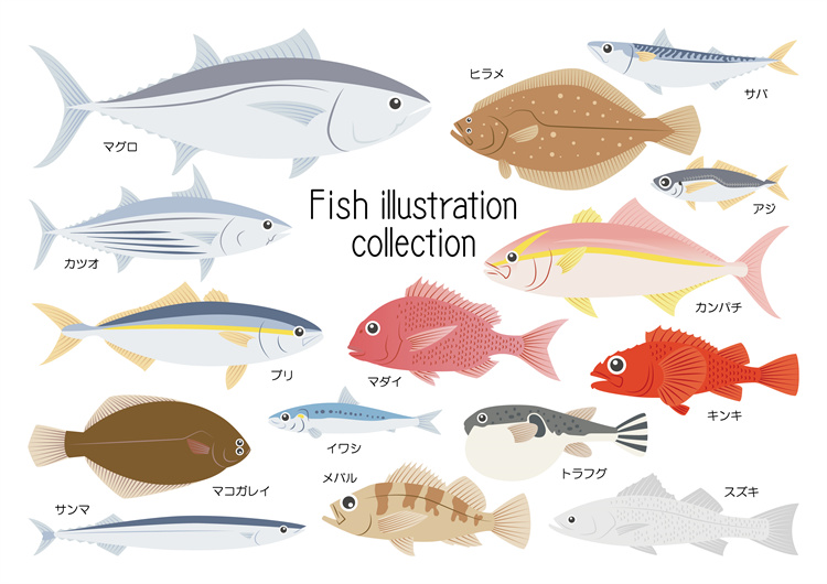 图片[44]-手绘海鲜海产品水产食用食材鱼类海鱼插画图案合集AI矢量手账素材-设计猿