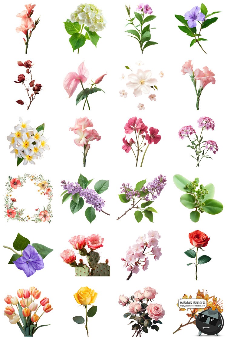 图片[2]-鲜花植物花卉花朵花束玫瑰郁金香鲜花野花PNG免扣图插画图片素材-设计猿