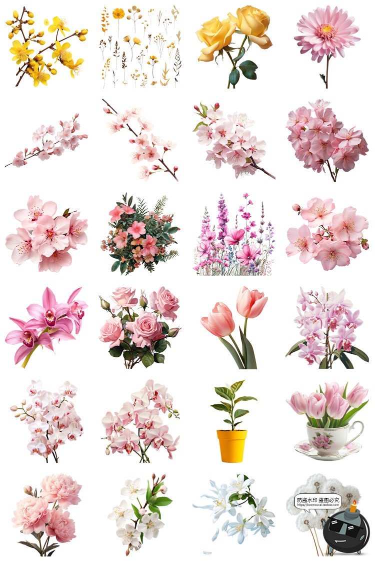 图片[5]-鲜花植物花卉花朵花束玫瑰郁金香鲜花野花PNG免扣图插画图片素材-设计猿