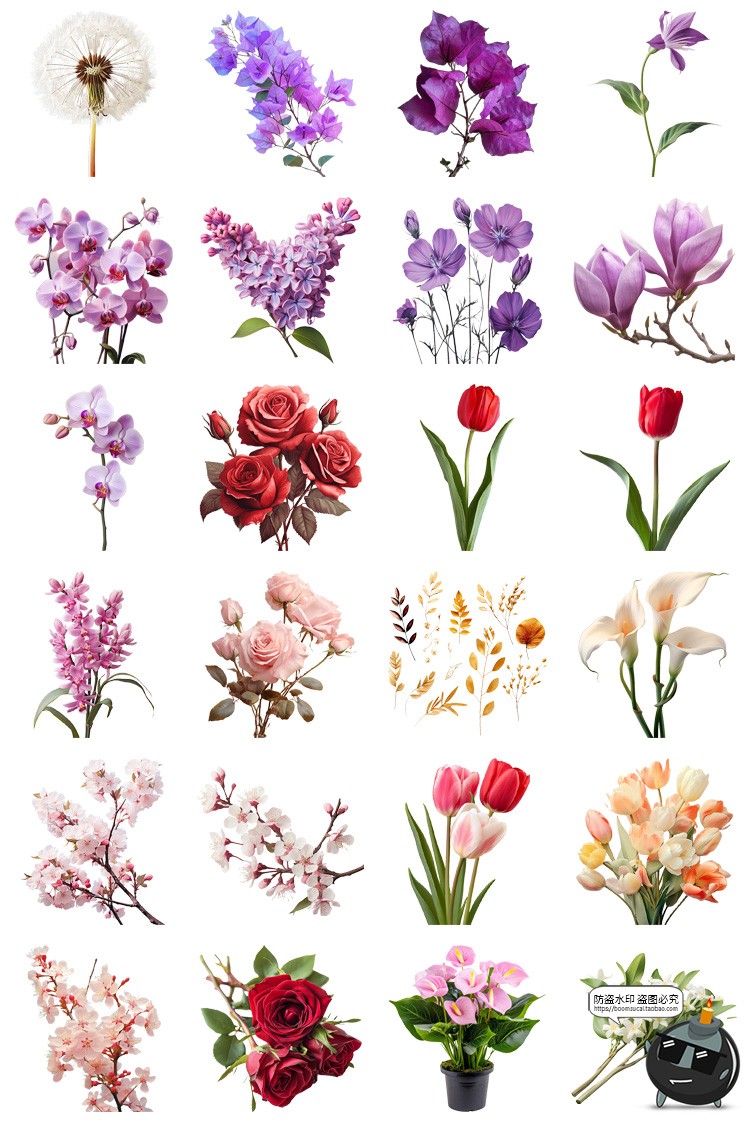 图片[6]-鲜花植物花卉花朵花束玫瑰郁金香鲜花野花PNG免扣图插画图片素材-设计猿
