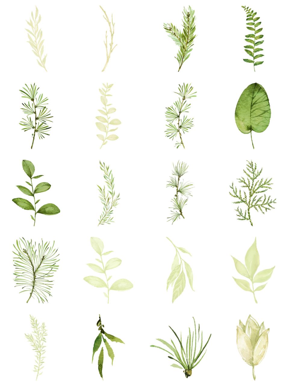 图片[2]-水彩手绘植物叶子小清新枝条绿色春夏海报背景PNG元素平面PS素材-设计猿