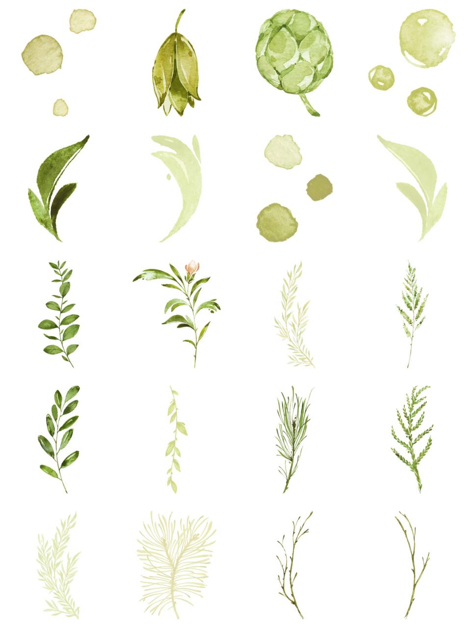 图片[3]-水彩手绘植物叶子小清新枝条绿色春夏海报背景PNG元素平面PS素材-设计猿