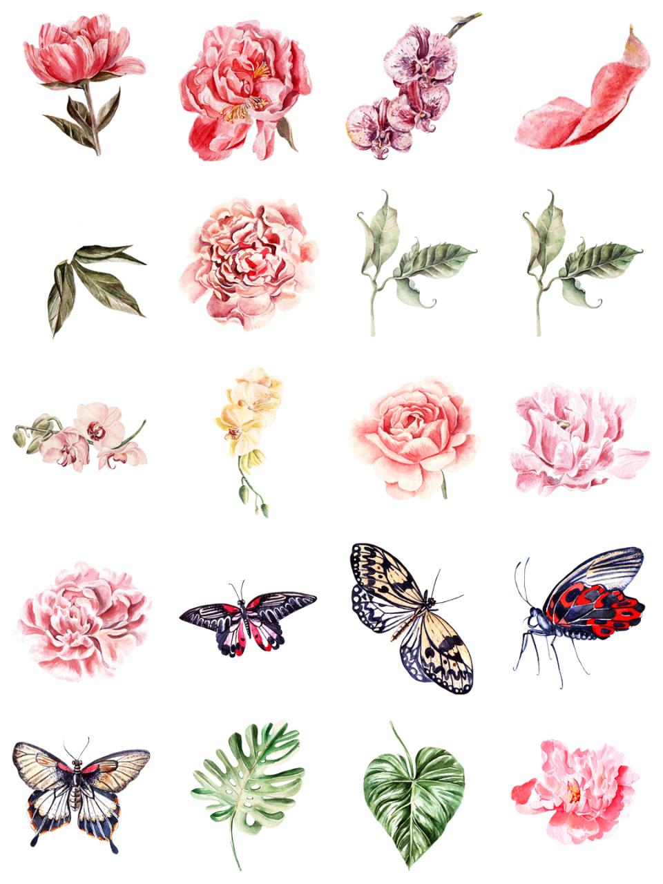 图片[2]-水彩唯美手绘热带花鸟花卉植物拼凑PNG免扣透明元素PS设计素材-设计猿