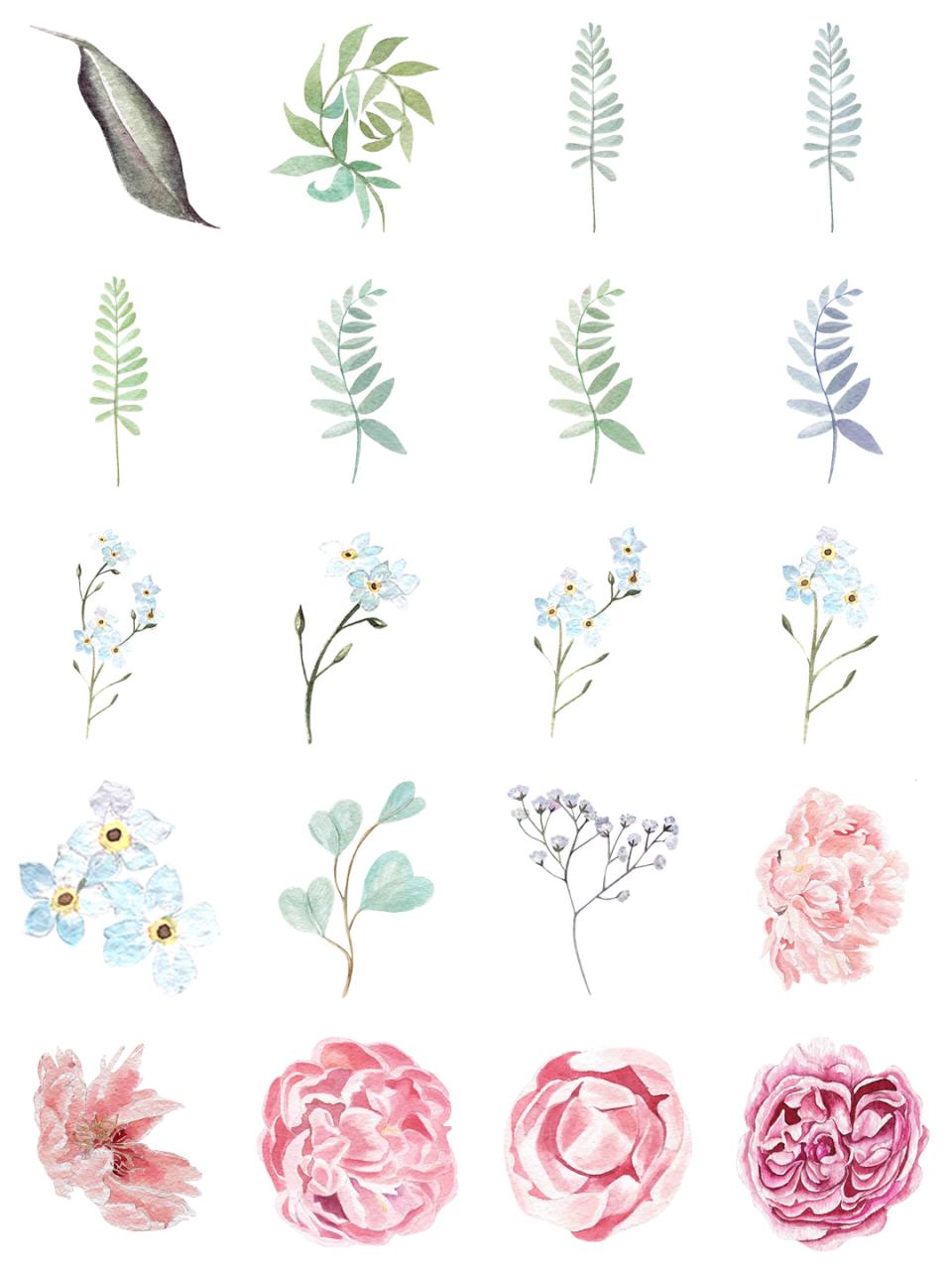 图片[5]-水彩唯美手绘热带花鸟花卉植物拼凑PNG免扣透明元素PS设计素材-设计猿