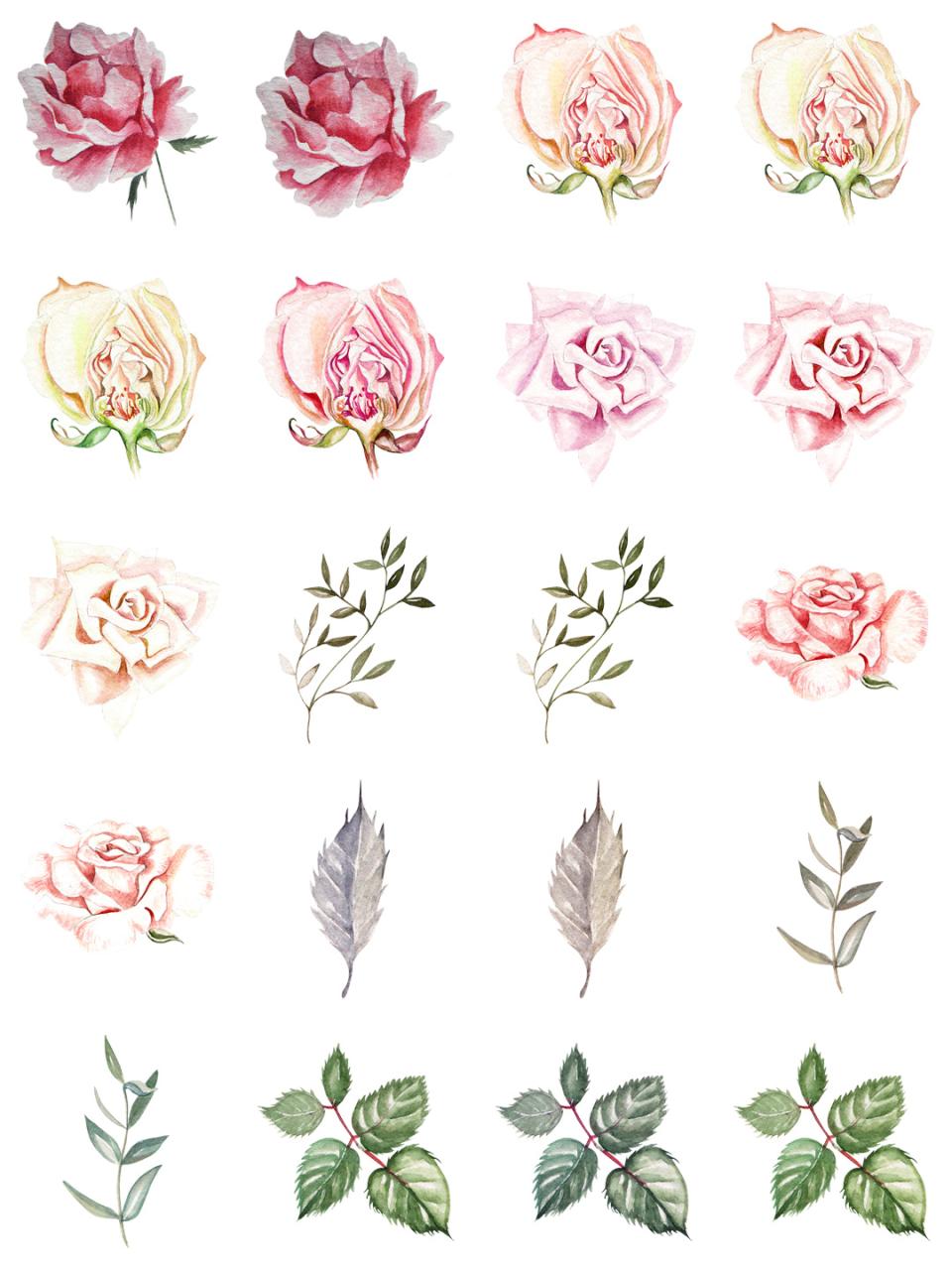 图片[7]-水彩唯美手绘热带花鸟花卉植物拼凑PNG免扣透明元素PS设计素材-设计猿