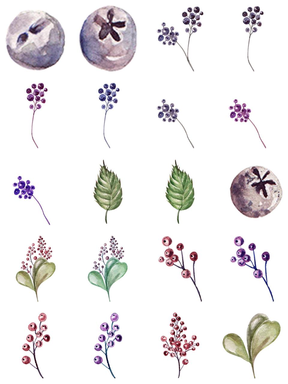 图片[8]-水彩唯美手绘热带花鸟花卉植物拼凑PNG免扣透明元素PS设计素材-设计猿