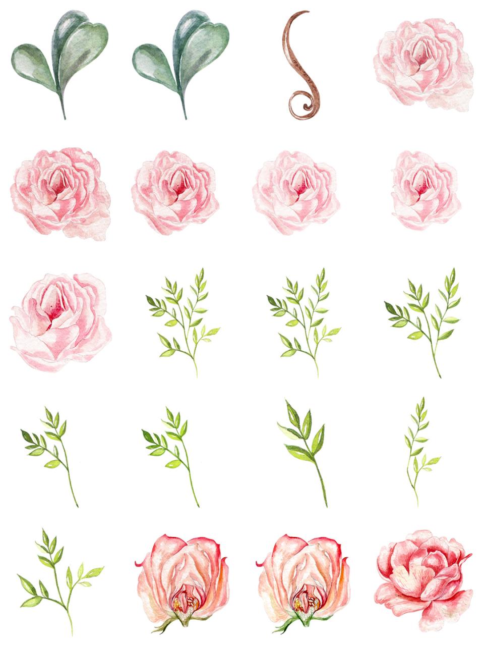 图片[9]-水彩唯美手绘热带花鸟花卉植物拼凑PNG免扣透明元素PS设计素材-设计猿