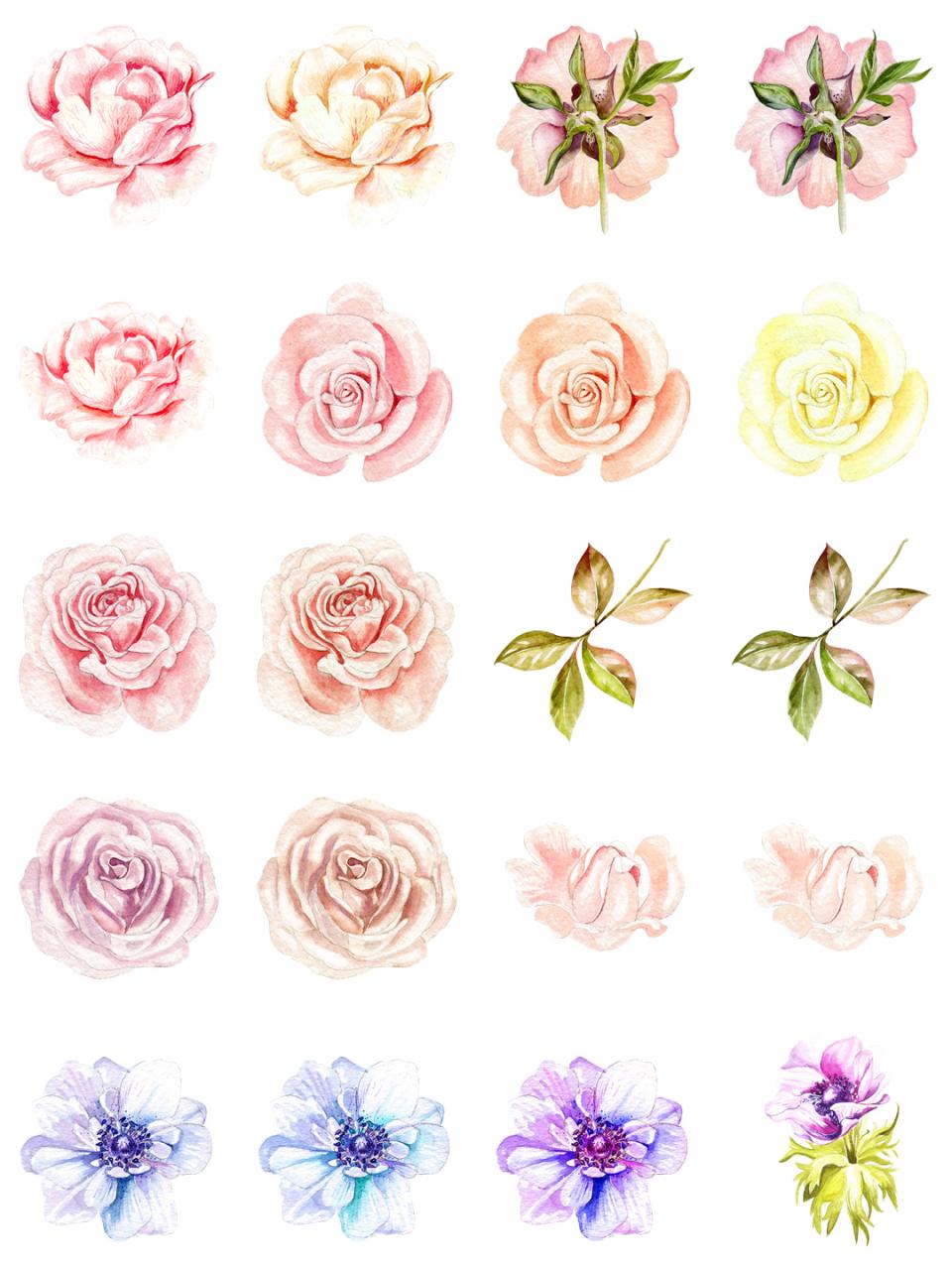 图片[10]-水彩唯美手绘热带花鸟花卉植物拼凑PNG免扣透明元素PS设计素材-设计猿