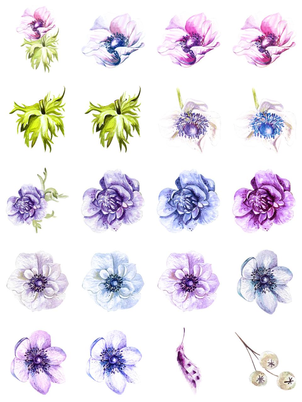 图片[11]-水彩唯美手绘热带花鸟花卉植物拼凑PNG免扣透明元素PS设计素材-设计猿