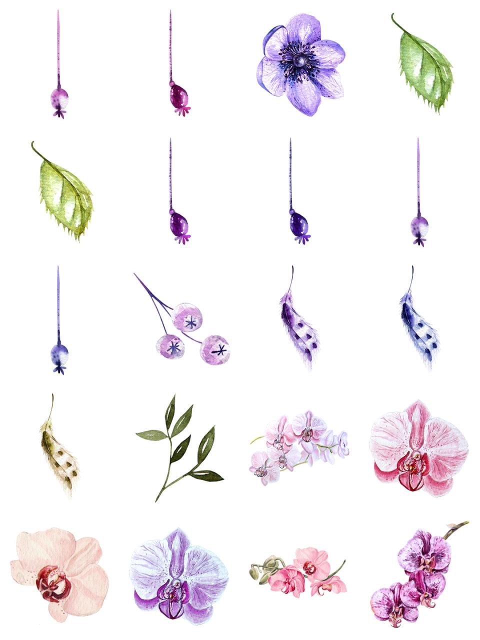 图片[12]-水彩唯美手绘热带花鸟花卉植物拼凑PNG免扣透明元素PS设计素材-设计猿